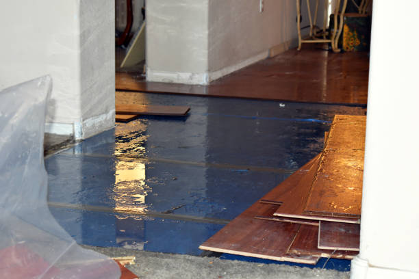 Professional Water Extraction technician working in Silver Lake, FL